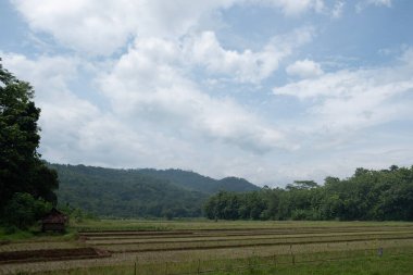 Kuningan West Java köyünün güzel manzarası. 