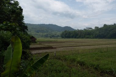 Kuningan West Java köyünün güzel manzarası. 