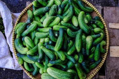 Salatalık pazarda yaygın olarak bulunur.