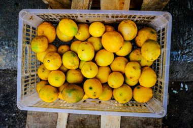 Piyasada limonlar yaygın olarak bulunmaktadır