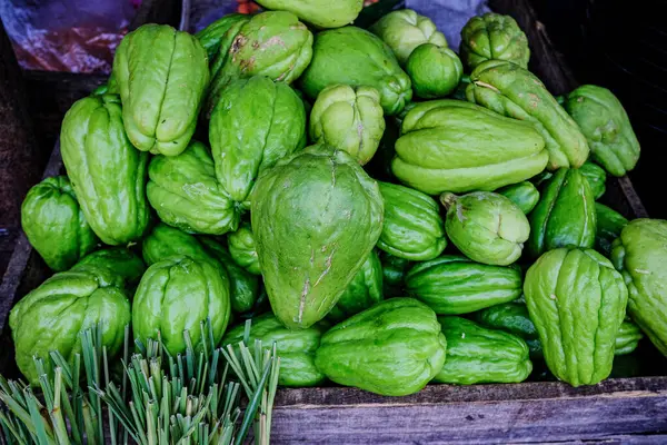 chayote piyasada yaygın olarak bulunmaktadır.