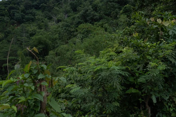 Köydeki nehirler hala temiz ve kirlenmemiş. 