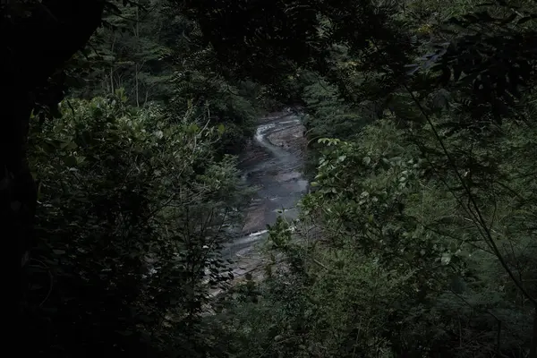 Köydeki nehirler hala temiz ve kirlenmemiş. 