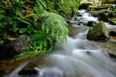 Çok sakin sularla akan bir köyde bir nehir. 