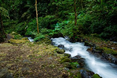 Çok sakin sularla akan bir köyde bir nehir. 