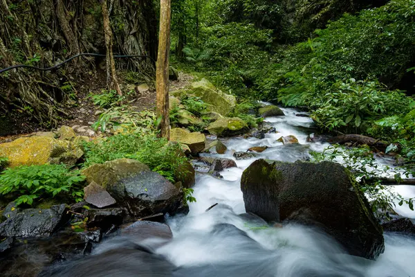 Çok sakin sularla akan bir köyde bir nehir. 