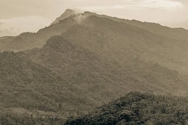 Sabahları kırsal kesimdeki tepe manzarası çok güzel. 
