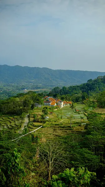Şehrin göbeğindeki bir köyün portresi. 