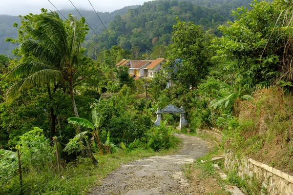 Şehrin göbeğindeki bir köyün portresi. 