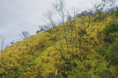 Bir dağ zirvesine yolculuk 