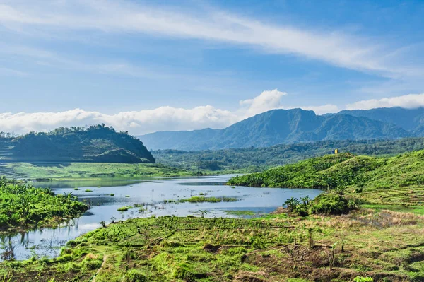 Güzel ve göz kamaştırıcı küçük bir göl, yeşil çevrelerle çevrili. 