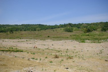 Uzak bir köydeki çok sessiz bir yerin portresi. 