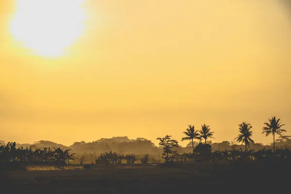Sabahları hala güzel olan bir köyün portresi. 