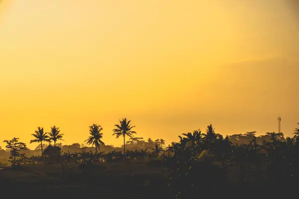 Sabahları hala güzel olan bir köyün portresi. 