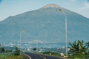 Sabah sakin bir yolun portresi. Arka planda güzel bir dağ var. 