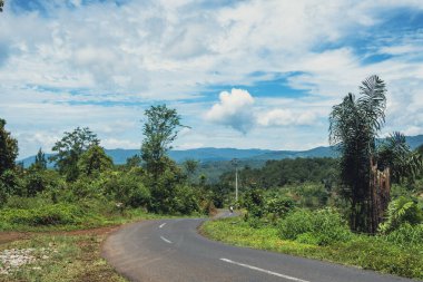 Güzel ağaçların eşlik ettiği küçük bir köy gezisi. 