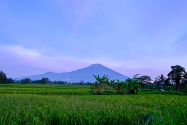 Ciremai Dağı sabah Brass West Java 'da bulunur. 