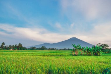 Ciremai Dağı sabah Brass West Java 'da bulunur. 
