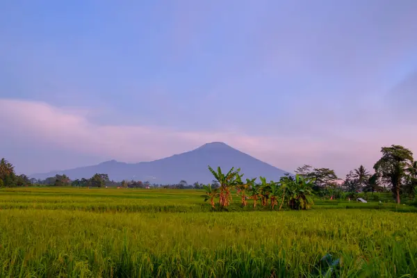 Ciremai Dağı sabah Brass West Java 'da bulunur. 