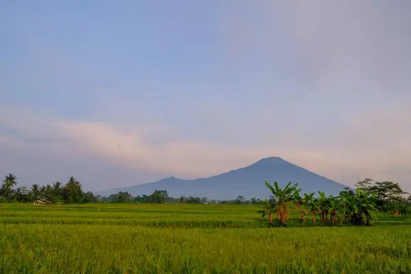 stock image ciremai mountain located in brass west java in the morning 