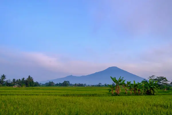 stock image ciremai mountain located in brass west java in the morning 