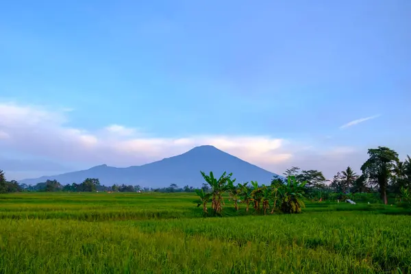 stock image ciremai mountain located in brass west java in the morning 