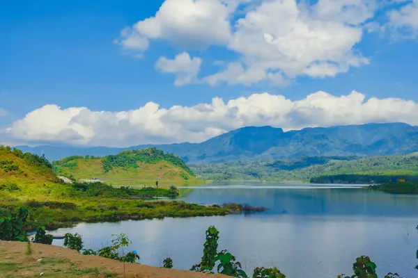 Öğleden sonra sakin bir su birikintisi manzarası. 