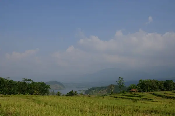 Güzel bir köydeki pirinç tarlalarının manzarası. 
