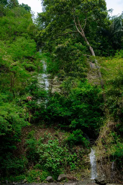 Su akan güzel bir şelalenin portresi. 