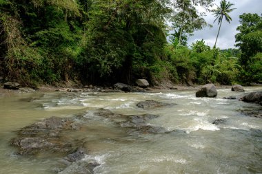 Bir köydeki nehir suyunun sakin akışı. 