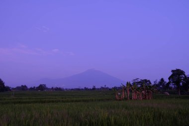 Ciremai dağının manzarası Kuningan Batı Java 'da bir gün