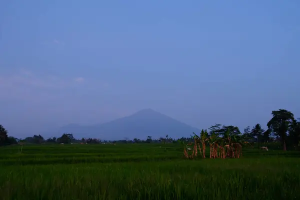 Ciremai dağının manzarası Kuningan Batı Java 'da bir gün