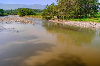 Gün boyunca sakin suyla nehir manzarası 