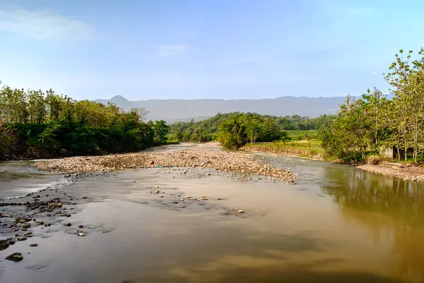 Gün boyunca sakin suyla nehir manzarası 