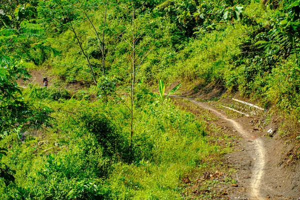 Her adımda güzellik yaratan bir köy yolu. 