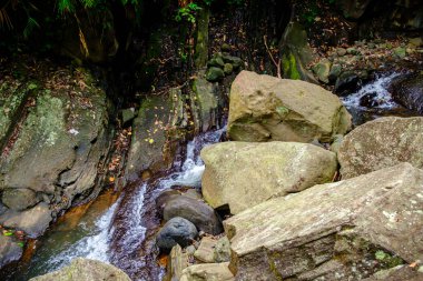 Serin kırsal kesimdeki su kaynaklarından birine bakın