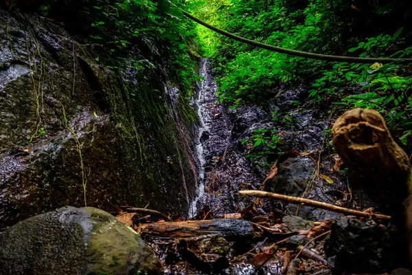 Serin kırsal kesimdeki su kaynaklarından birine bakın