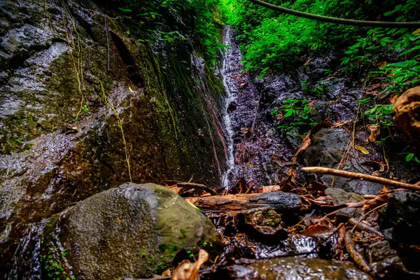 Serin kırsal kesimdeki su kaynaklarından birine bakın
