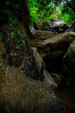 Serin kırsal kesimdeki su kaynaklarından birine bakın