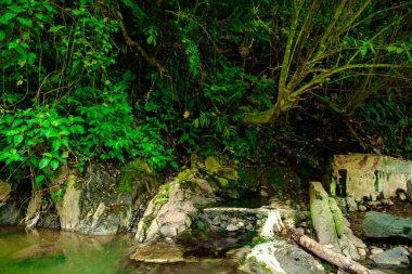 Gören kimseler için ferahlatıcı bir kaynaktır.