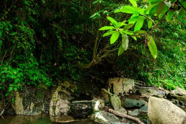 Gören kimseler için ferahlatıcı bir kaynaktır.