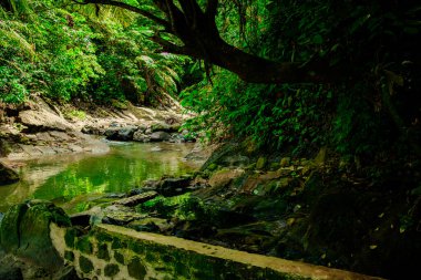 Gören kimseler için ferahlatıcı bir kaynaktır.
