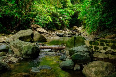 Gören kimseler için ferahlatıcı bir kaynaktır.