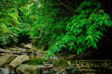 Gören kimseler için ferahlatıcı bir kaynaktır.