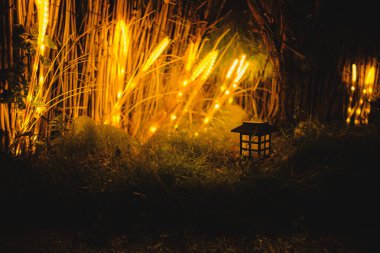 Doğal temalı kahve dükkanlarından birinde akşam durumu.
