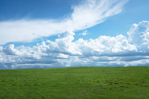 Mavi gökyüzünde, beyaz bulutlu ve güneşli güzel çimen tarlası..