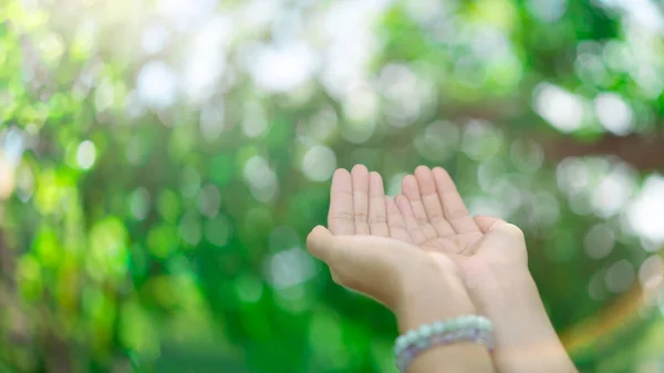 Руки Моляться Фоні Природи Боке — стокове фото