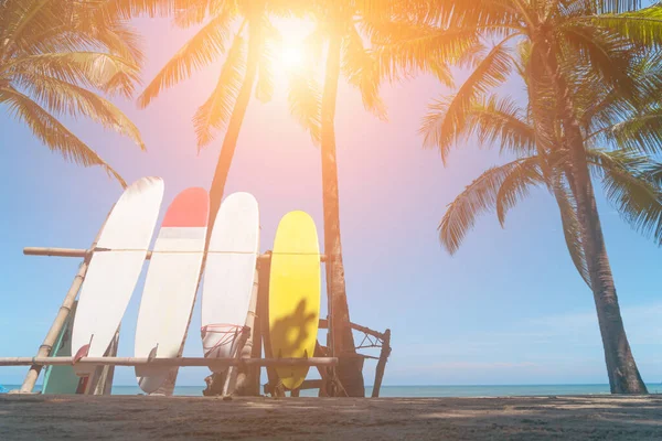 Deski Surfingowe Obok Drzew Kokosowych Letniej Plaży Słońcem Błękitnym Tle — Zdjęcie stockowe