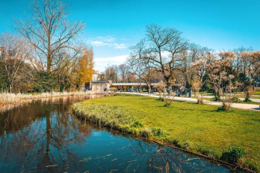 Güneşli bir günde Amsterdam 'da Vondelpark' ta. Tonu ayarlanmış resim.