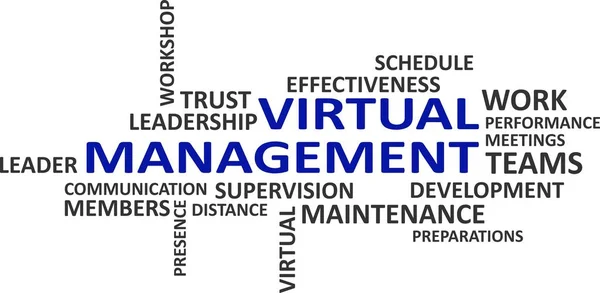Word Cloud Virtual Management Related Items Illustration De Stock